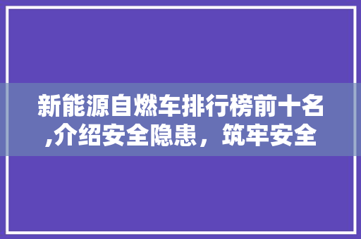 新能源自燃车排行榜前十名,介绍安全隐患，筑牢安全防线