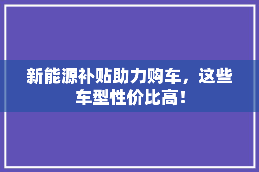 新能源补贴助力购车，这些车型性价比高！