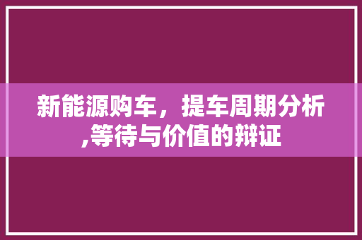 新能源购车，提车周期分析,等待与价值的辩证