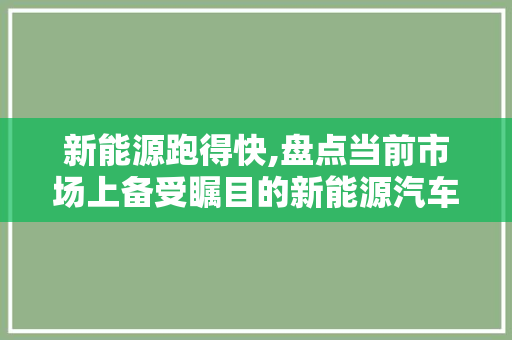 新能源跑得快,盘点当前市场上备受瞩目的新能源汽车