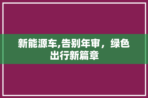 新能源车,告别年审，绿色出行新篇章