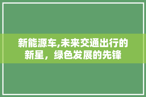 新能源车,未来交通出行的新星，绿色发展的先锋
