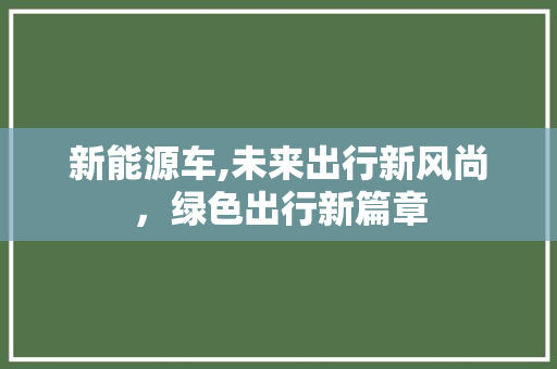 新能源车,未来出行新风尚，绿色出行新篇章