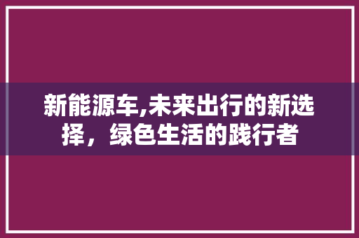 新能源车,未来出行的新选择，绿色生活的践行者