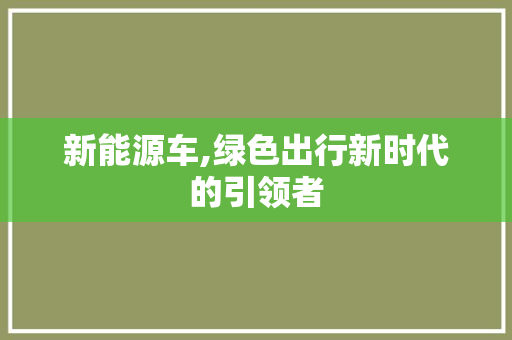 新能源车,绿色出行新时代的引领者