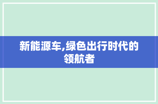 新能源车,绿色出行时代的领航者