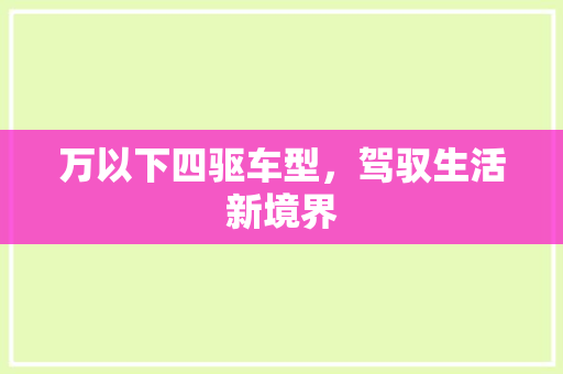 万以下四驱车型，驾驭生活新境界