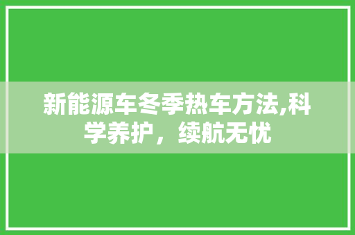 新能源车冬季热车方法,科学养护，续航无忧
