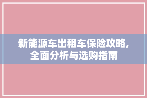 新能源车出租车保险攻略,全面分析与选购指南