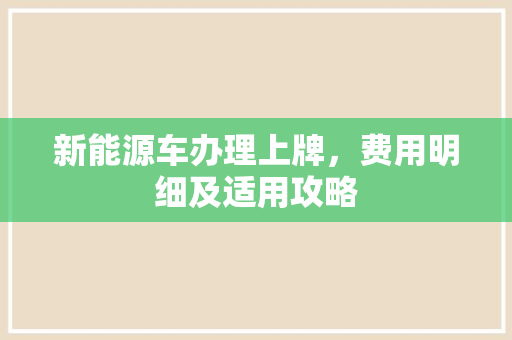 新能源车办理上牌，费用明细及适用攻略