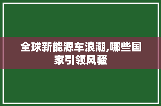 全球新能源车浪潮,哪些国家引领风骚