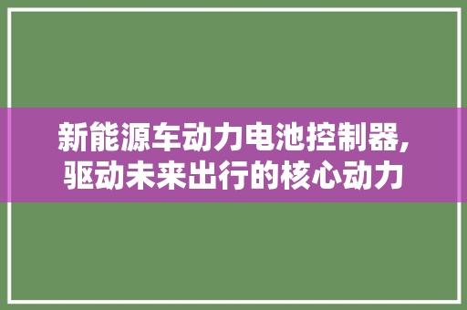 新能源车动力电池控制器,驱动未来出行的核心动力