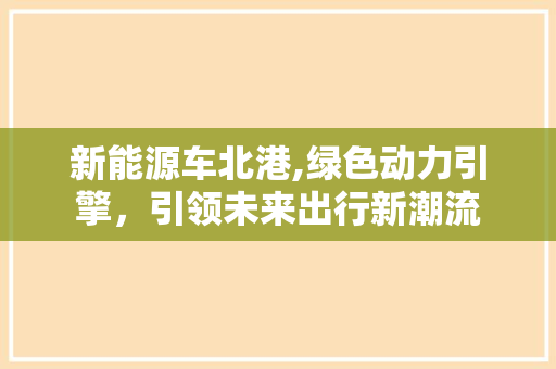 新能源车北港,绿色动力引擎，引领未来出行新潮流