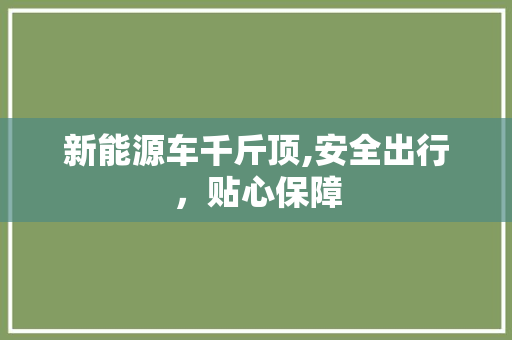 新能源车千斤顶,安全出行，贴心保障