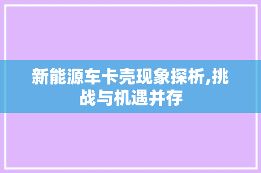 新能源车卡壳现象探析,挑战与机遇并存