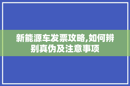 新能源车发票攻略,如何辨别真伪及注意事项