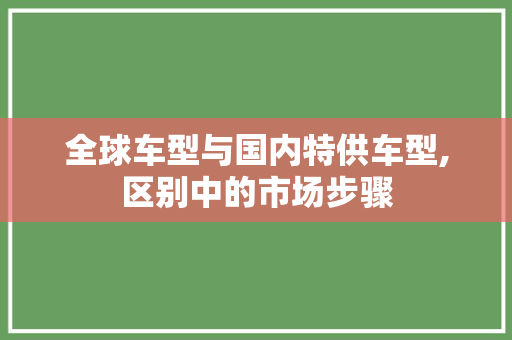 全球车型与国内特供车型,区别中的市场步骤