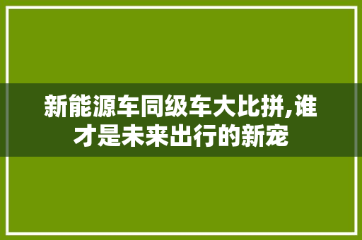 新能源车同级车大比拼,谁才是未来出行的新宠