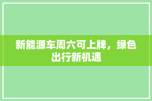 新能源车周六可上牌，绿色出行新机遇