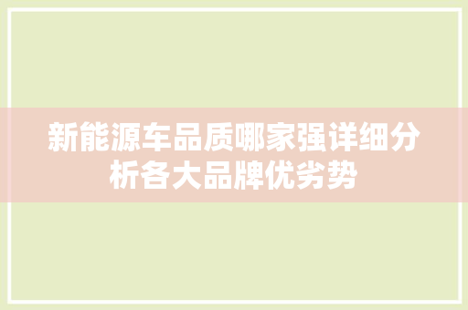 新能源车品质哪家强详细分析各大品牌优劣势
