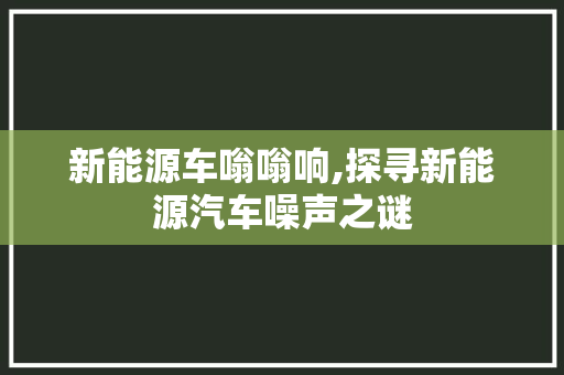 新能源车嗡嗡响,探寻新能源汽车噪声之谜