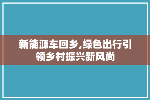 新能源车回乡,绿色出行引领乡村振兴新风尚