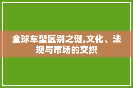 全球车型区别之谜,文化、法规与市场的交织