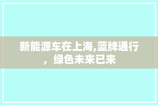 新能源车在上海,蓝牌通行，绿色未来已来