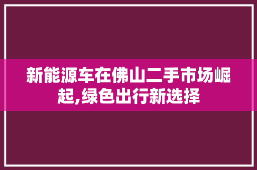 新能源车在佛山二手市场崛起,绿色出行新选择