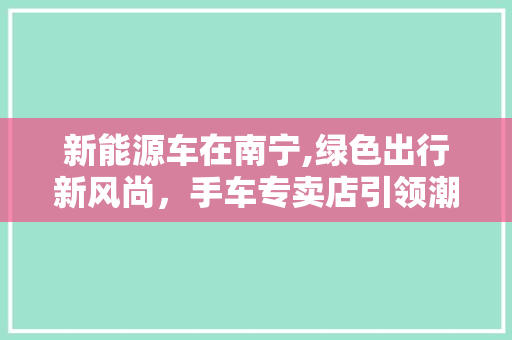 新能源车在南宁,绿色出行新风尚，手车专卖店引领潮流