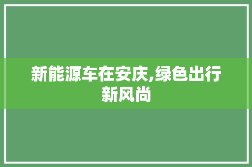 新能源车在安庆,绿色出行新风尚
