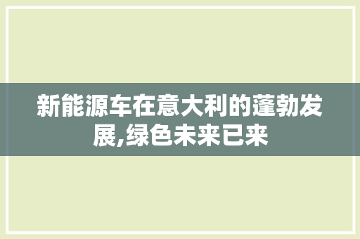 新能源车在意大利的蓬勃发展,绿色未来已来