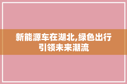 新能源车在湖北,绿色出行引领未来潮流