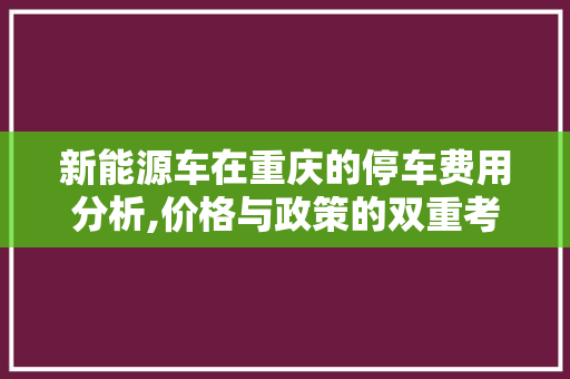 新能源车在重庆的停车费用分析,价格与政策的双重考量