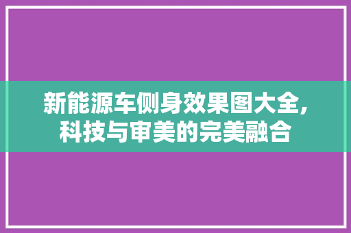 新能源车侧身效果图大全,科技与审美的完美融合