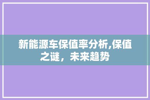 新能源车保值率分析,保值之谜，未来趋势