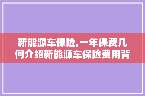 新能源车保险,一年保费几何介绍新能源车保险费用背后的真相