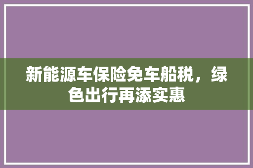 新能源车保险免车船税，绿色出行再添实惠