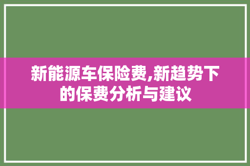 新能源车保险费,新趋势下的保费分析与建议