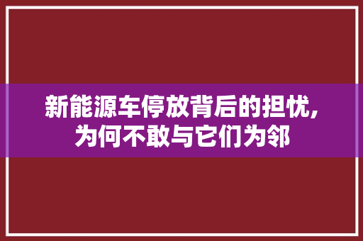 新能源车停放背后的担忧,为何不敢与它们为邻