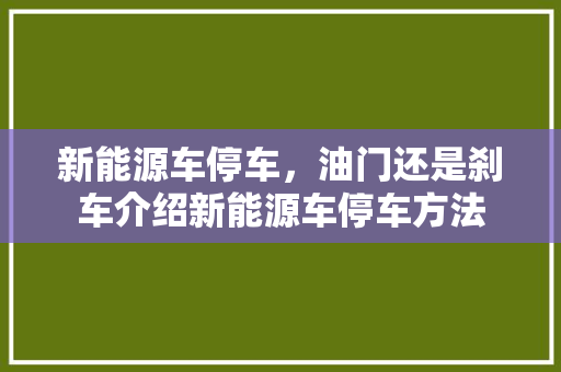 新能源车停车，油门还是刹车介绍新能源车停车方法