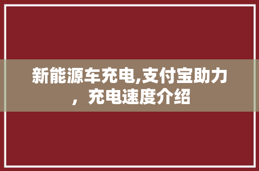 新能源车充电,支付宝助力，充电速度介绍