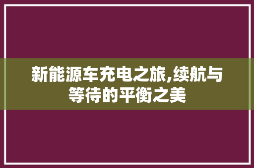 新能源车充电之旅,续航与等待的平衡之美