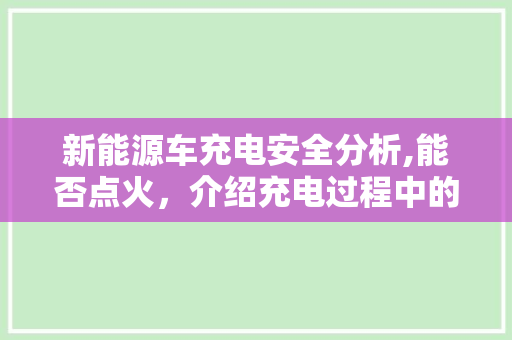新能源车充电安全分析,能否点火，介绍充电过程中的安全保障