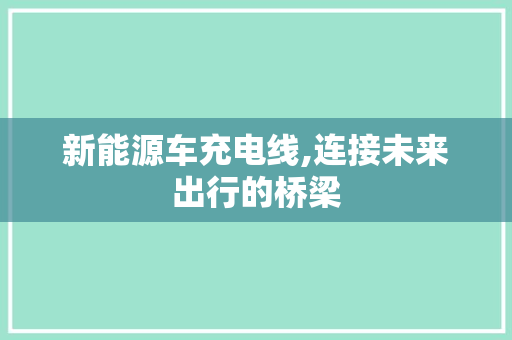 新能源车充电线,连接未来出行的桥梁
