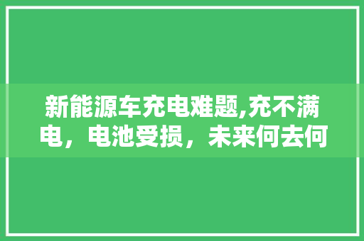 新能源车充电难题,充不满电，电池受损，未来何去何从