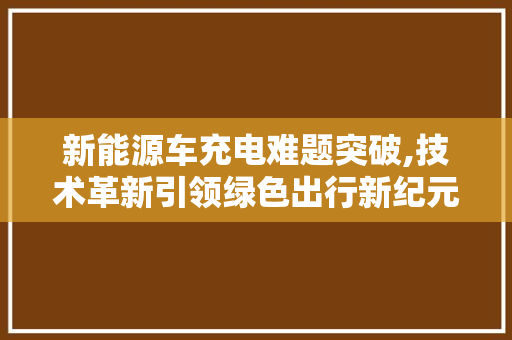 新能源车充电难题突破,技术革新引领绿色出行新纪元