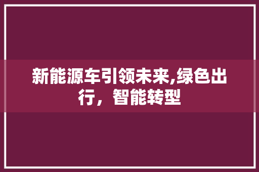 新能源车引领未来,绿色出行，智能转型