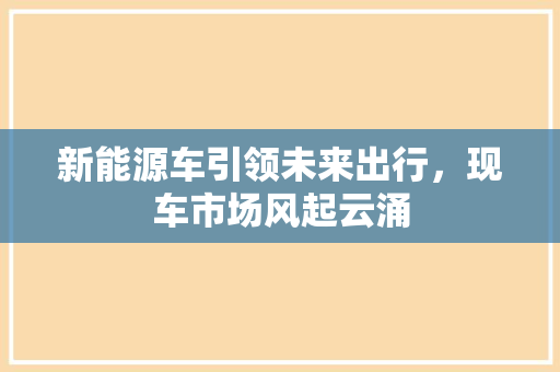 新能源车引领未来出行，现车市场风起云涌