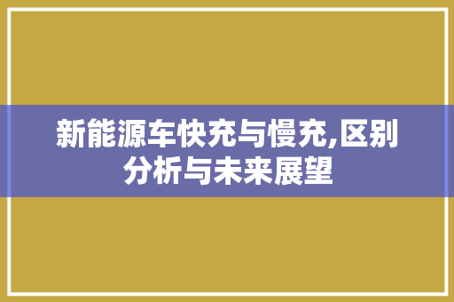 新能源车快充与慢充,区别分析与未来展望